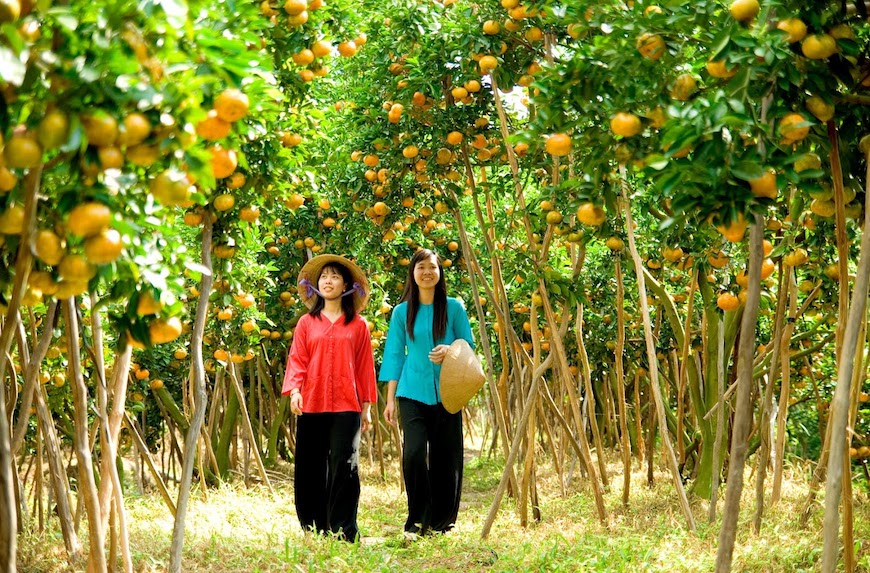 Jardin fruitier de Cai Mon