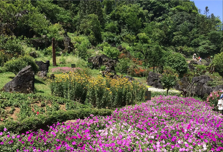 Jardin fleuri H''Mong
