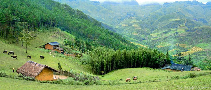 Paysage inédit du district Yen Minh, Ha Giang